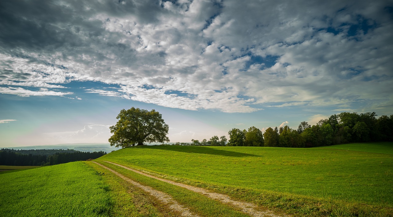 Landschaft